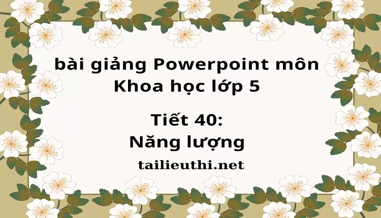 Tiết 40:Năng lượng