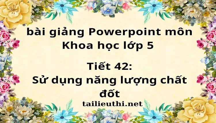 Tiết 42:Sử dụng năng lượng chất đốt