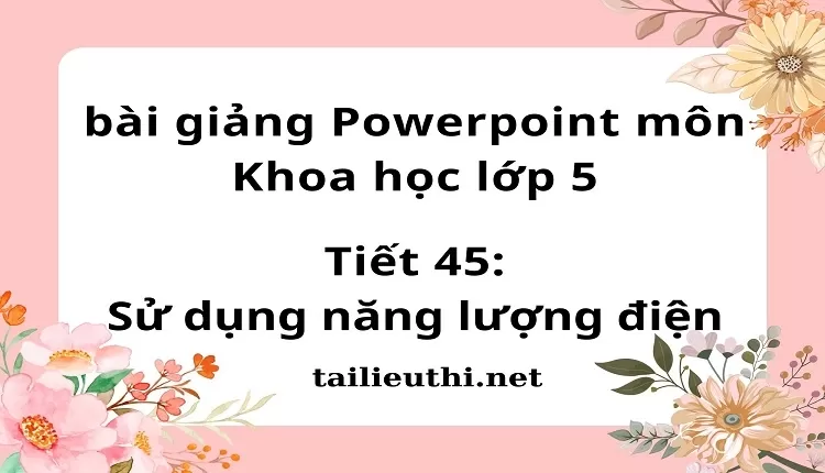 Tiết 45:Sử dụng năng lượng điện