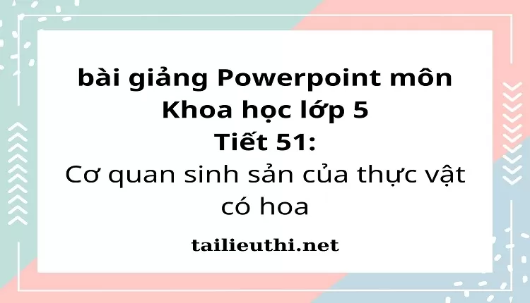 Tiết 51:Cơ quan sinh sản của thực vật có hoa