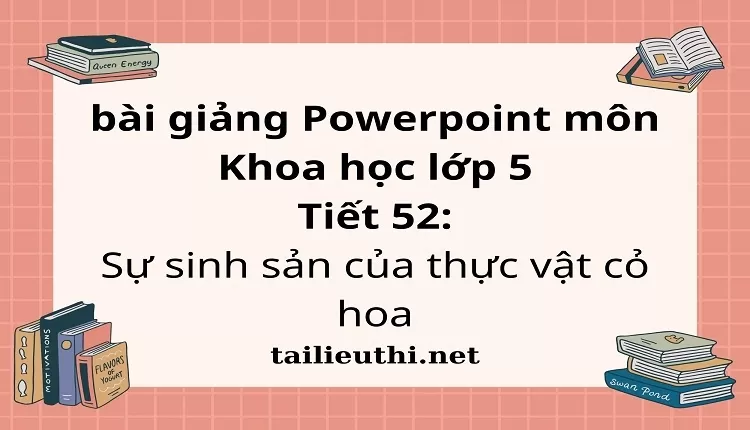 Tiết 52:Sự sinh sản của thực vật cỏ hoa