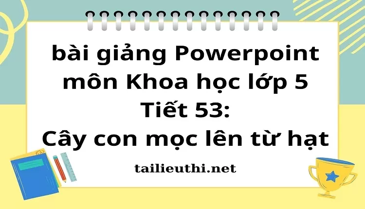 Tiết 53:Cây con mọc lên từ hạt