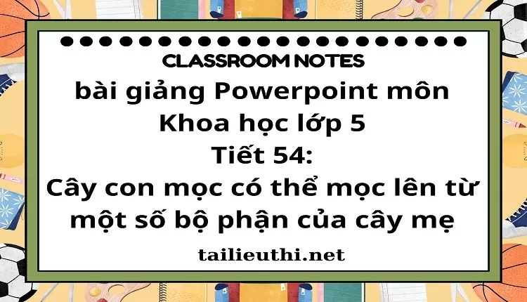 Tiết 54:Cây con mọc có thể mọc lên từ một số bộ phận của cây mẹ