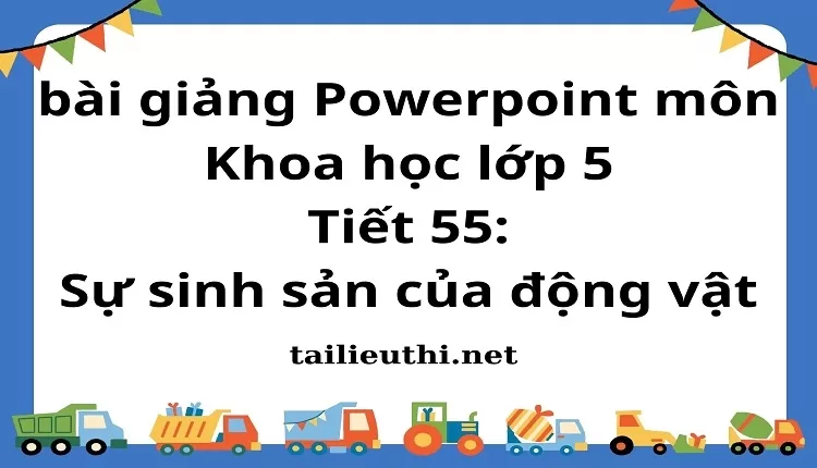 Tiết 55:Sự sinh sản của động vật