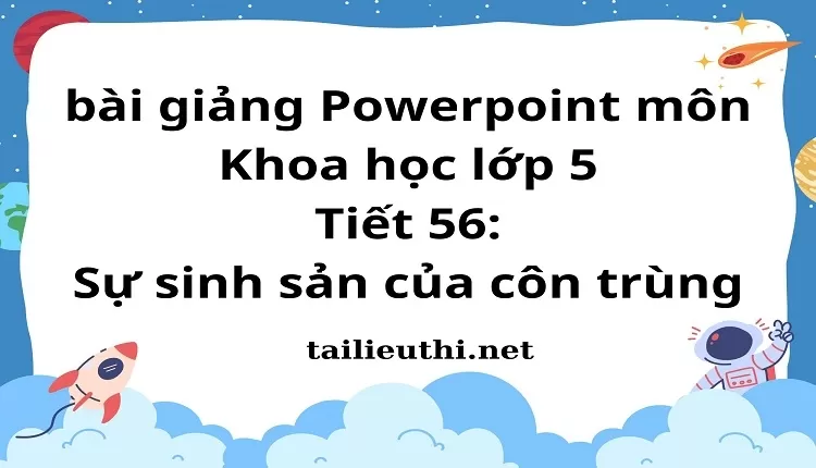 Tiết 56:Sự sinh sản của côn trùng