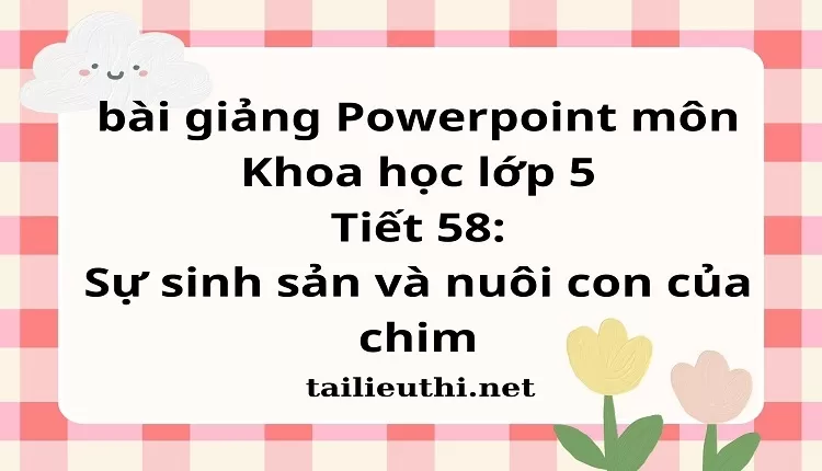 Tiết 58:Sự sinh sản và nuôi con của chim