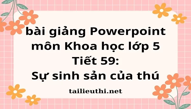 Tiết 59:Sự sinh sản của thú