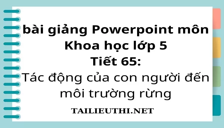 Tiết 65:Tác động của con người đến môi trường rừng