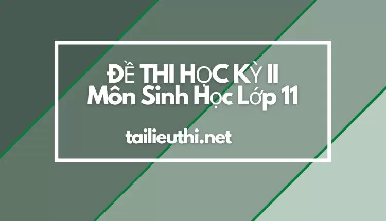 10+ ĐỀ THI HỌC KỲ II Môn Sinh Học Lớp 11  ( đa dạng và chi tiết có đáp án )...