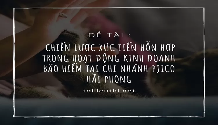 Chiến lược xúc tiến hỗn hợp trong hoạt động kinh doanh bảo hiểm tại chi nhánh PJICO Hải Phòng...