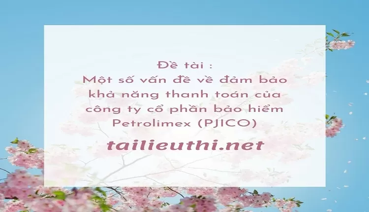 khả năng thanh toán của công ty cổ phần bảo hiểm Petrolimex (PJICO)...