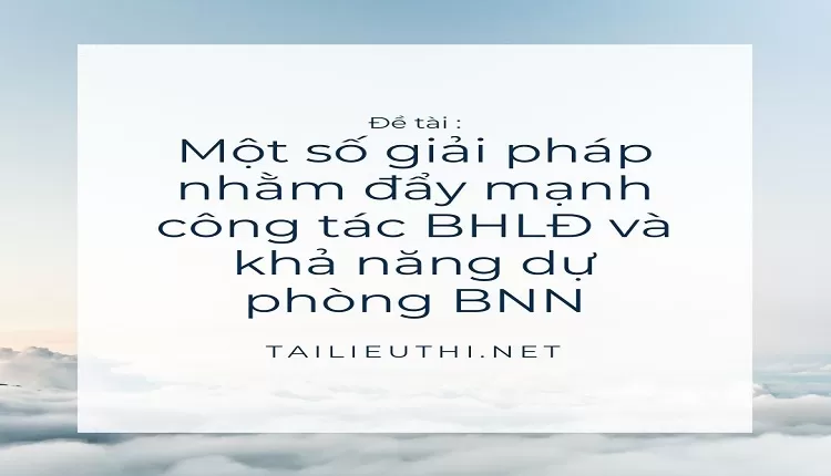 Một số giải pháp nhằm đẩy mạnh công tác BHLĐ và khả năng dự phòng BNN....