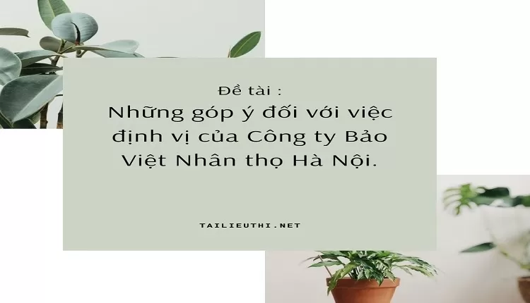 Những góp ý đối với việc định vị của Công ty Bảo Việt Nhân thọ Hà Nội...,.