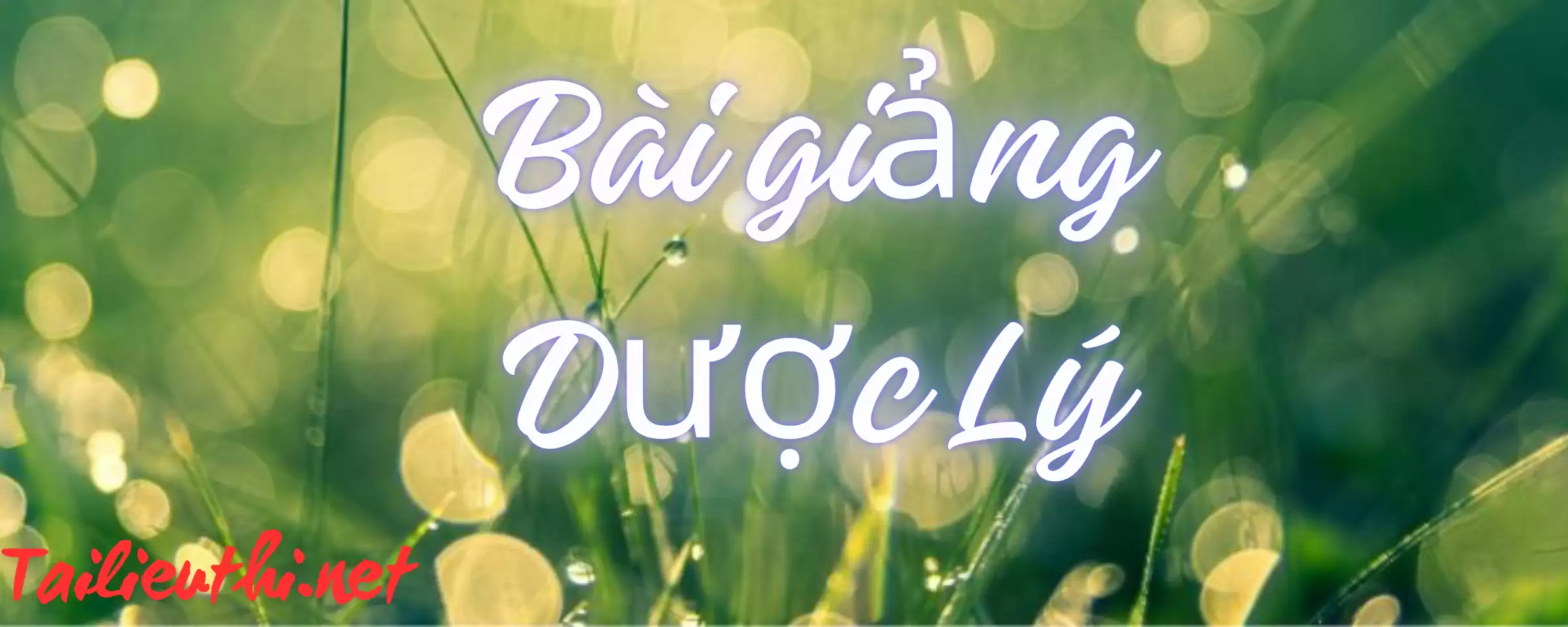 Bài giảng Dược lý pdf