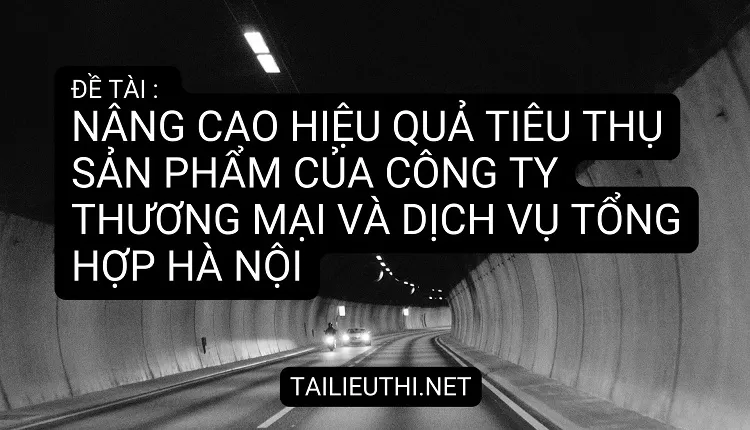 SẢN PHẨM CỦA CÔNG TY THƯƠNG MẠI VÀ DỊCH VỤ TỔNG HỢP HÀ NỘI