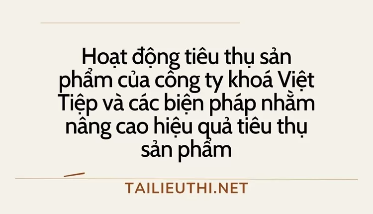 Sản phẩm của công ty khoá Việt Tiệp và các biện pháp nhằm nâng cao hiệu quả tiêu thụ sản phẩm