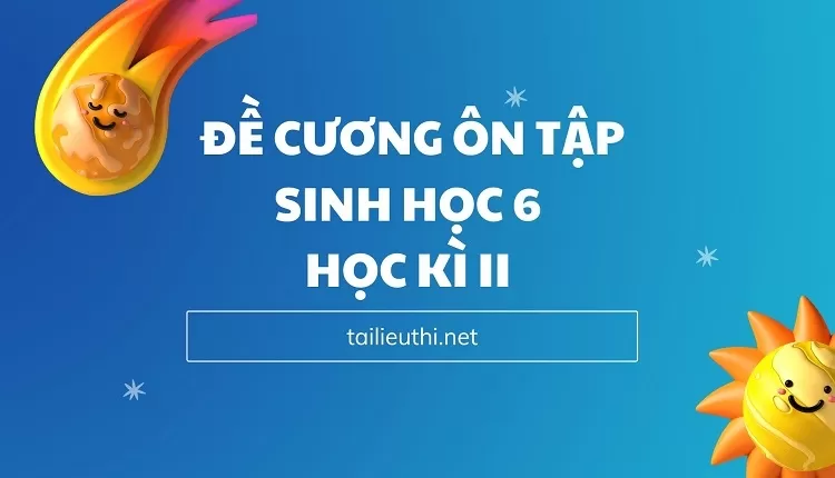 ĐỀ CƯƠNG ÔN TẬP SINH HỌC 6  HỌC KÌ II