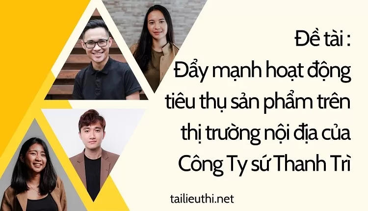 tiêu thụ sản phẩm trên thị trường nội địa của Công Ty sứ Thanh Trì