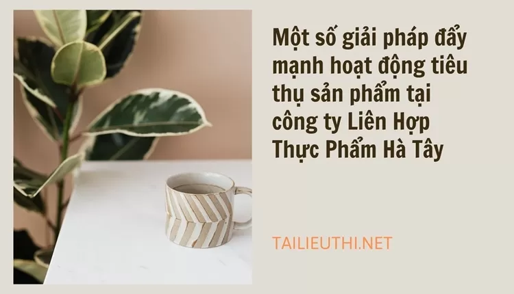 Đẩy mạnh hoạt động tiêu thụ sản phẩm tại công ty Liên Hợp Thực Phẩm Hà Tây