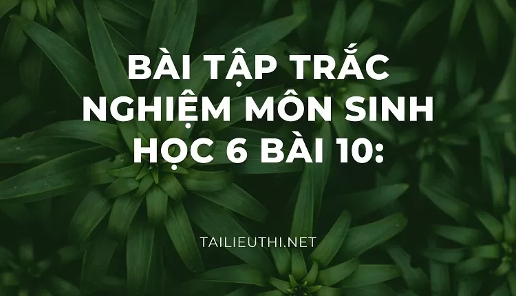 BÀI TẬP TRẮC NGHIỆM MÔN SINH HỌC 6 BÀI 10: