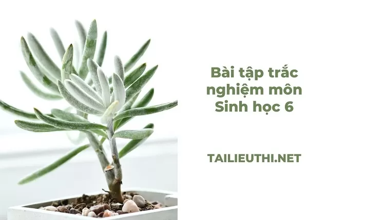 Bài tập trắc nghiệm môn Sinh học 6 BÀI 12