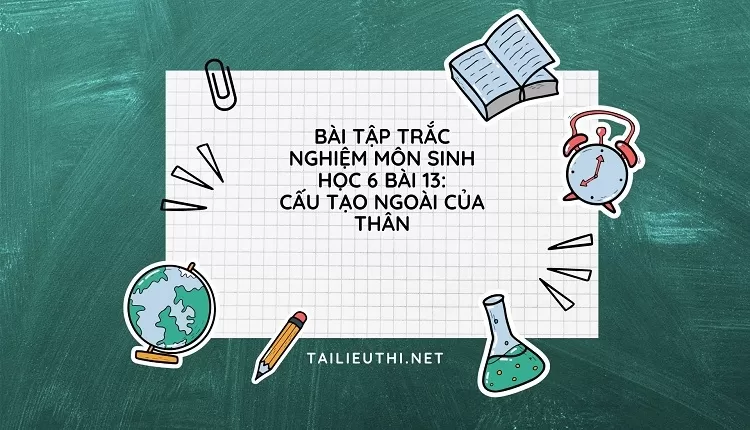 BÀI TẬP TRẮC NGHIỆM MÔN SINH HỌC 6 BÀI 13: CẤU TẠO NGOÀI CỦA THÂN