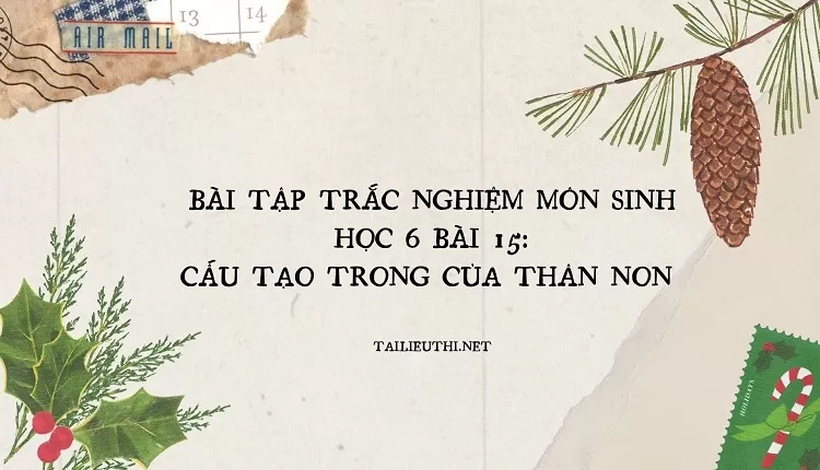 BÀI TẬP TRẮC NGHIỆM MÔN SINH HỌC 6 BÀI 15: CẤU TẠO TRONG CỦA THÂN NON