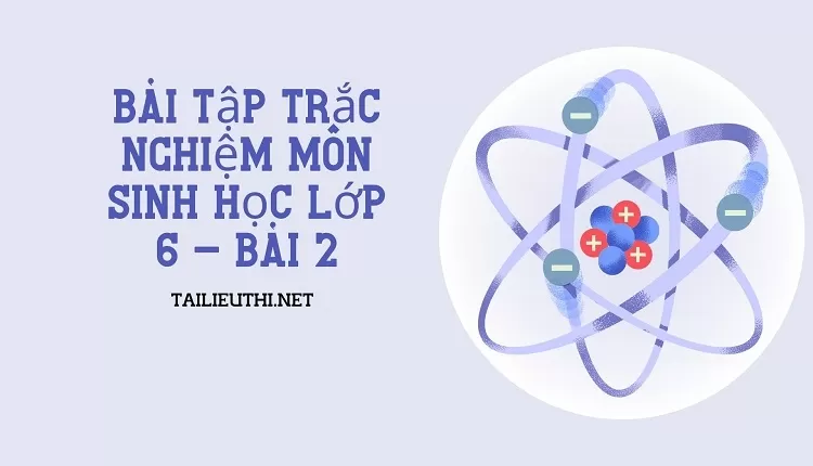 Bài tập trắc nghiệm môn Sinh học lớp 6 - Bài 2