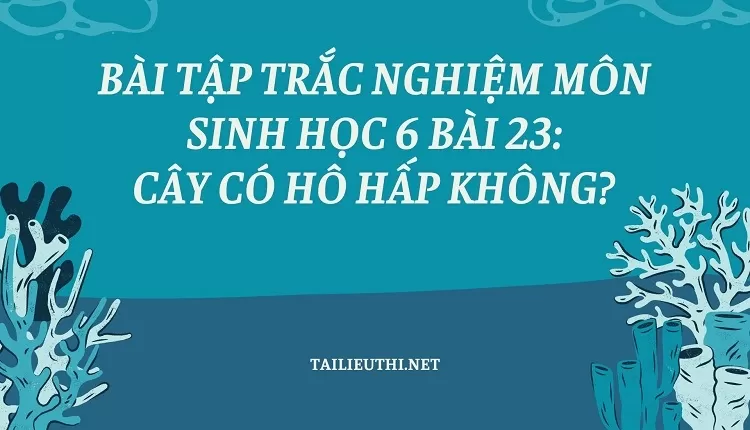 BÀI TẬP TRẮC NGHIỆM MÔN SINH HỌC 6 BÀI 23: CÂY CÓ HÔ HẤP KHÔNG?