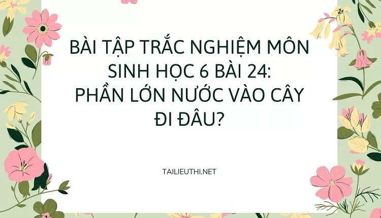 BÀI TẬP TRẮC NGHIỆM MÔN SINH HỌC 6 BÀI 24: PHẦN LỚN NƯỚC VÀO CÂY ĐI ĐÂU?