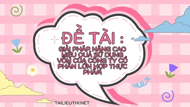 Giải pháp nâng cao hiệu quả sử dụng vốn của Công ty cổ phần Lớn Hợp Thực Phẩm