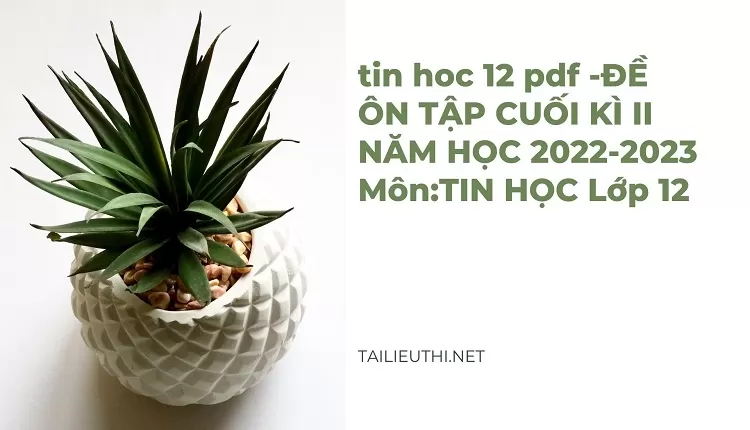 ĐỀ ÔN TẬP CUỐI KÌ II NĂM HỌC 2022-2023 Môn:TIN HỌC Lớp 12