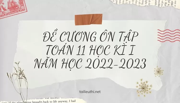 ĐỀ CƯƠNG ÔN TẬP TOÁN 11 HỌC KÌ I NĂM HỌC 2022-2023 ( chi tiết , hay )