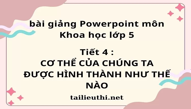 CƠ THỂ CỦA CHÚNG TA ĐƯỢC HÌNH THÀNH NHƯ THẾ NÀO