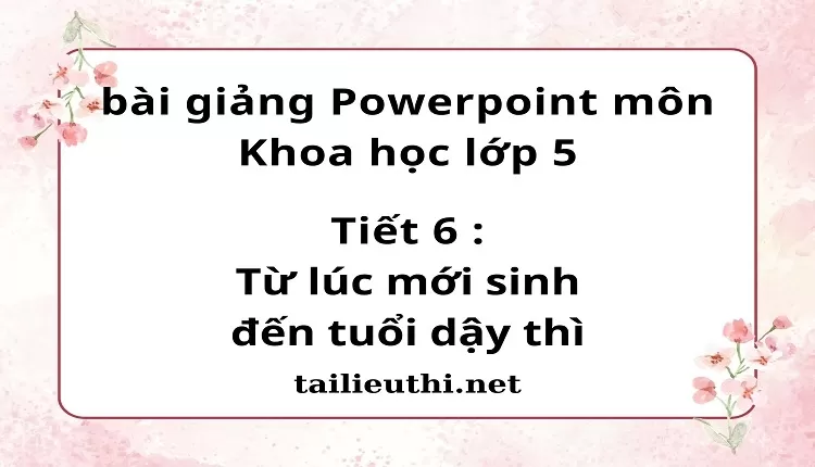 Tiết 6 :Từ lúc mới sinh đến tuổi dậy thì