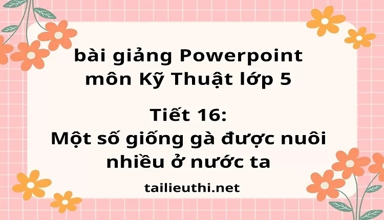 Tiết 16:Một số giống gà được nuôi nhiều ở nước ta