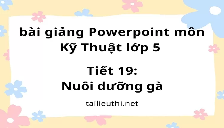 Tiết 19:Nuôi dưỡng gà