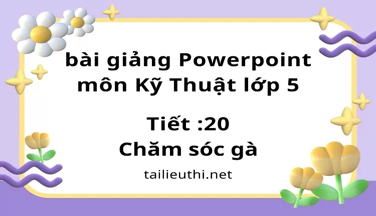 Tiết 20: Chăm sóc gà