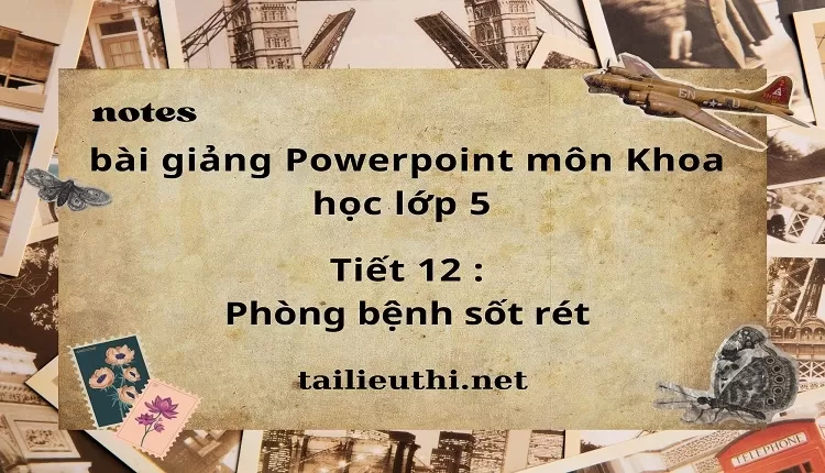 Tiết 12 :Phòng bệnh sốt rét