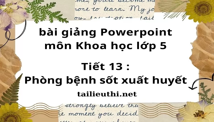 Tiết 13 :Phòng bệnh sốt xuất huyết