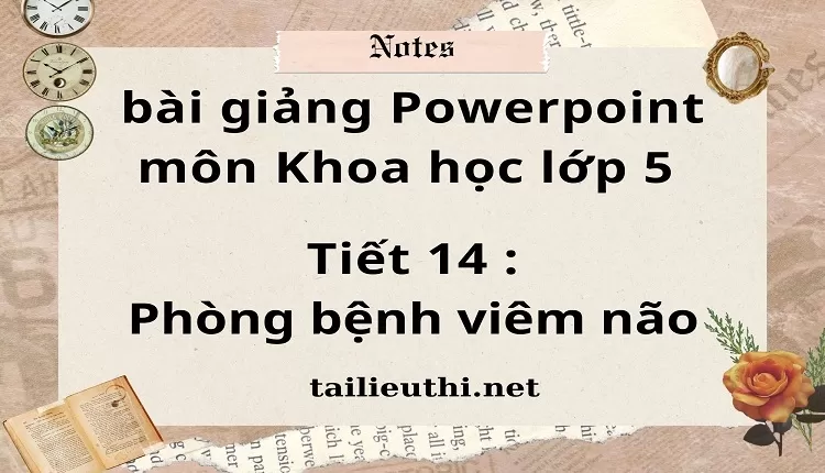 Tiết 14 :Phòng bệnh viêm não