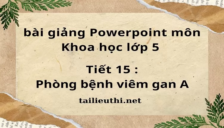 Tiết 15 :Phòng bệnh viêm gan A