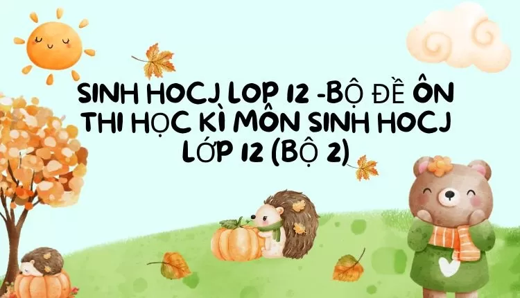 BỘ ĐỀ ÔN THI HỌC KÌ MÔN SINH HOCJ LỚP 12 (BỘ 2)