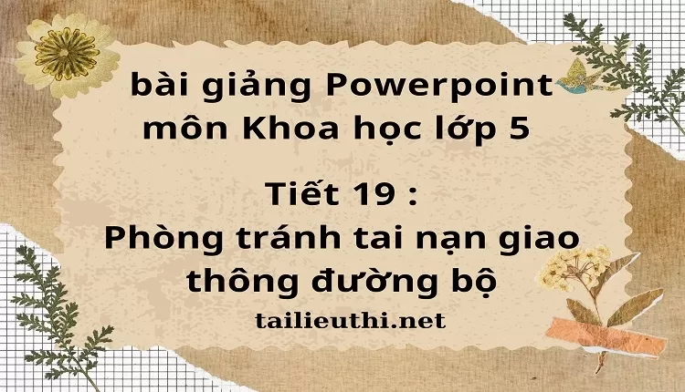 Tiết 19 :Phòng tránh tai nạn giao thông đường bộ