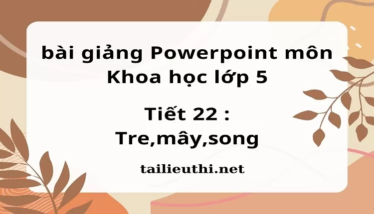 Tiết 22 :Tre,mây,song