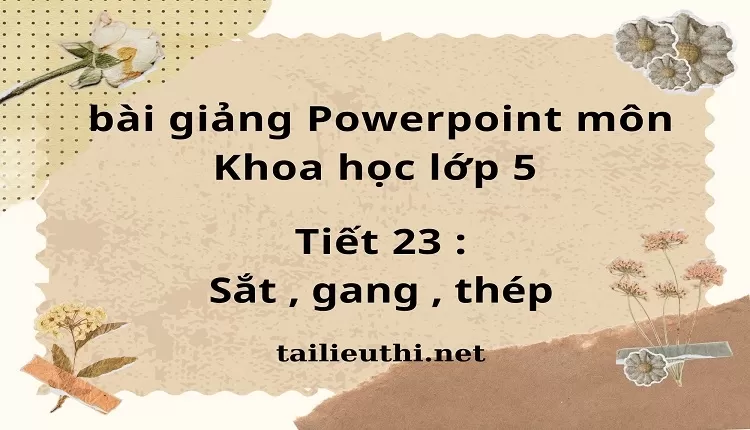 Tiết 23 :Sắt , gang , thép