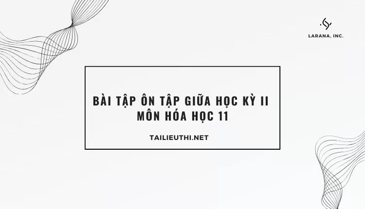 BÀI TẬP ÔN TẬP GIỮA HỌC KỲ II  MÔN HÓA HỌC 11 (đa dạng và chi tiết )...