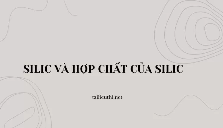 SILIC VÀ HỢP CHẤT CỦA SILIC ( các bài tập có đáp án chi tiết )...