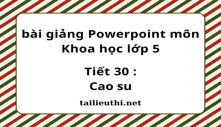 Tiết 30 : Cao su