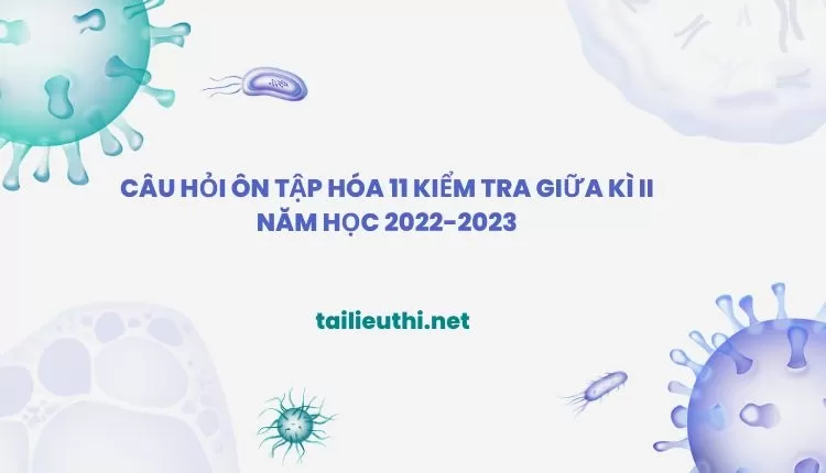 CÂU HỎI ÔN TẬP HÓA 11 KIỂM TRA GIỮA KÌ II NĂM HỌC 2022-2023 (hay và chi tiết )...